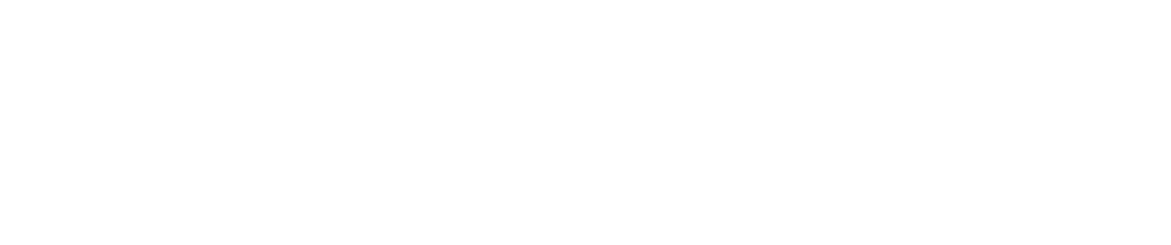 NORAVYA logo